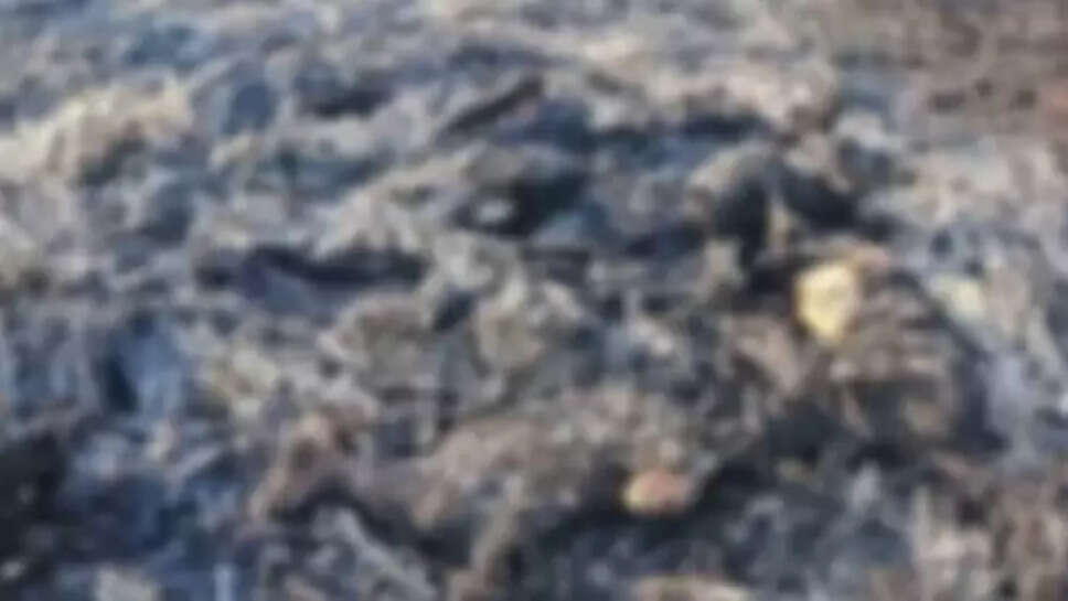 சக்திவேல் 