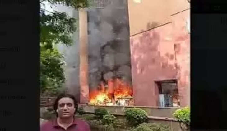 எம்.பி.க்கள்