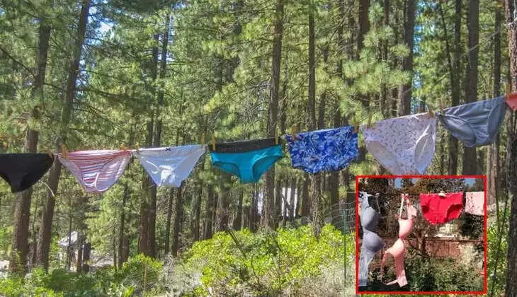 உள்ளாடை