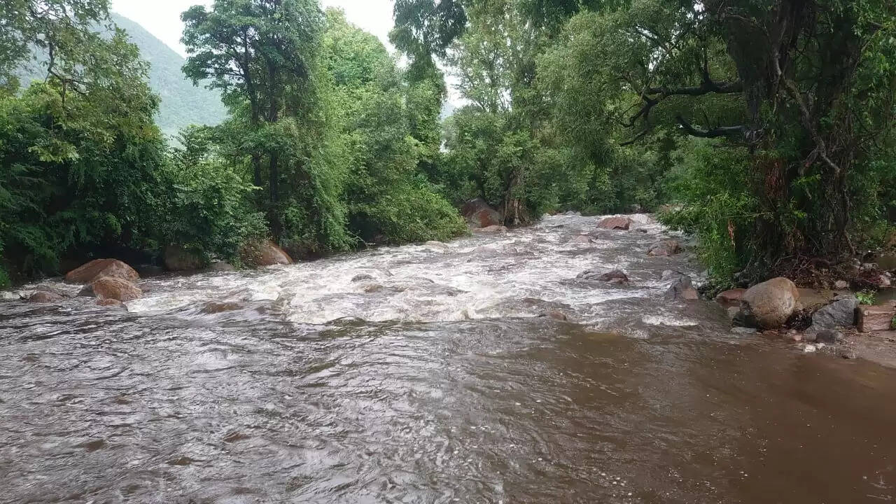 கனமழையால் வெள்ளப்பெருக்கு... நீர்நிலைகள் நிரம்புவதால் விவசாயிகள் 