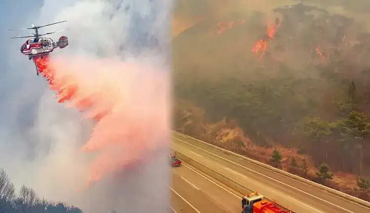 காட்டுத்தீ