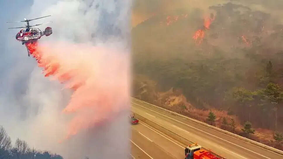 காட்டுத்தீ