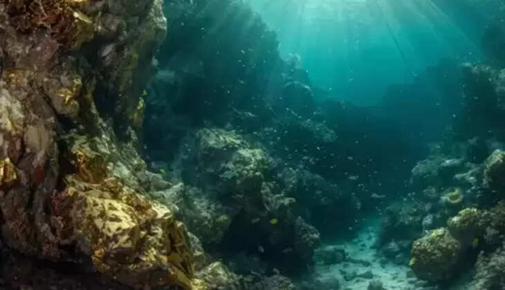 கடலுக்கு அடியில் கடல் தங்கப்படிமம்