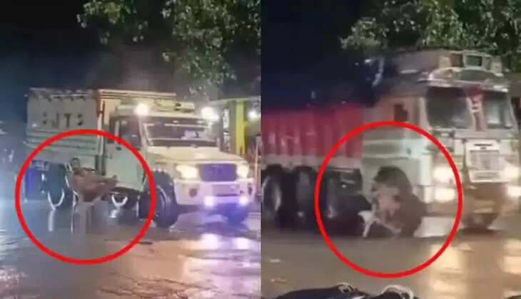 பிரதாப் நகர்