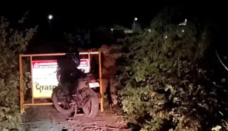 என்கவுண்டர்