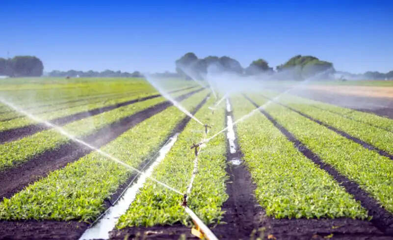 சொட்டு நீர் பாசனம்