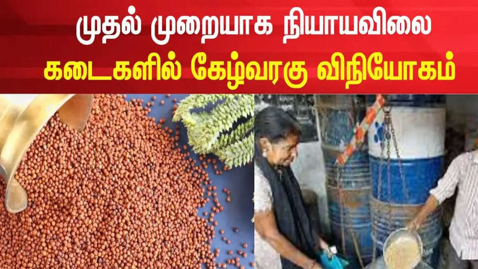 ரேஷன் கேழ்வரகு