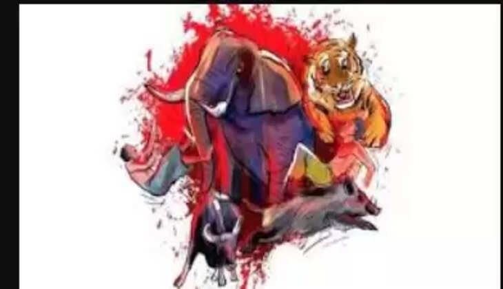 வனவிலங்கு