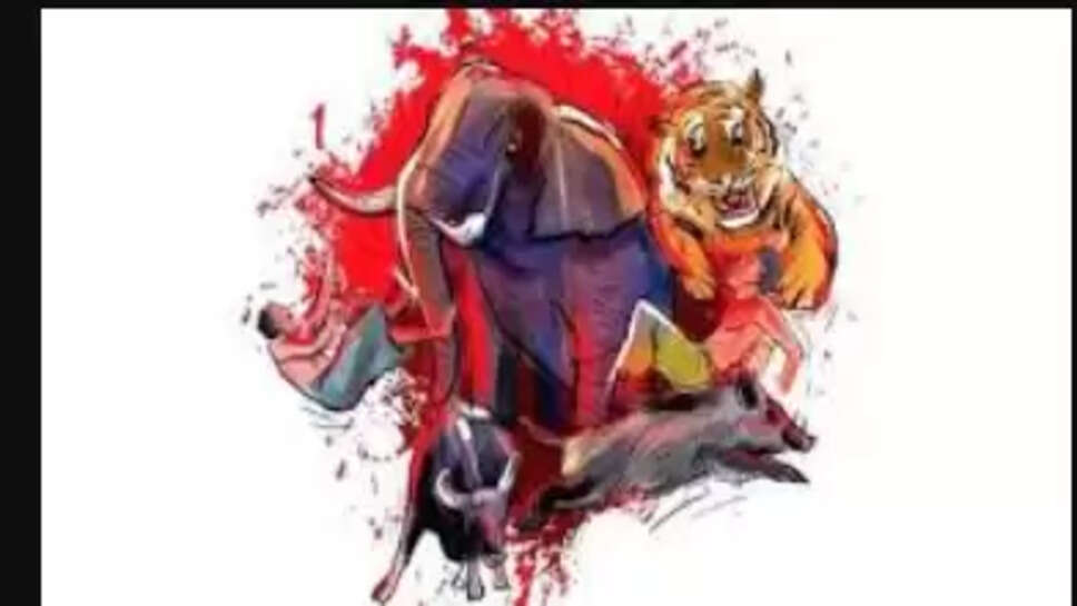 வனவிலங்கு