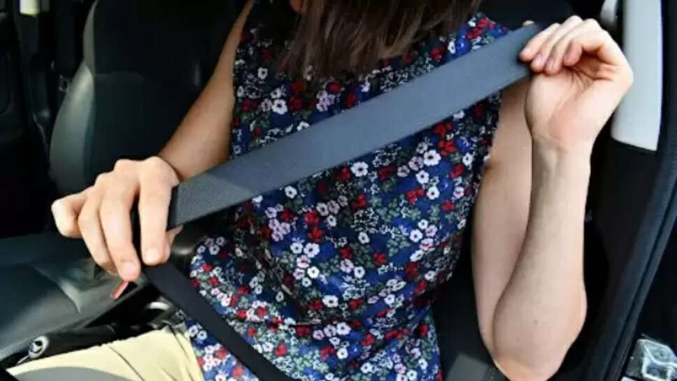 சீட் பெல்ட் 