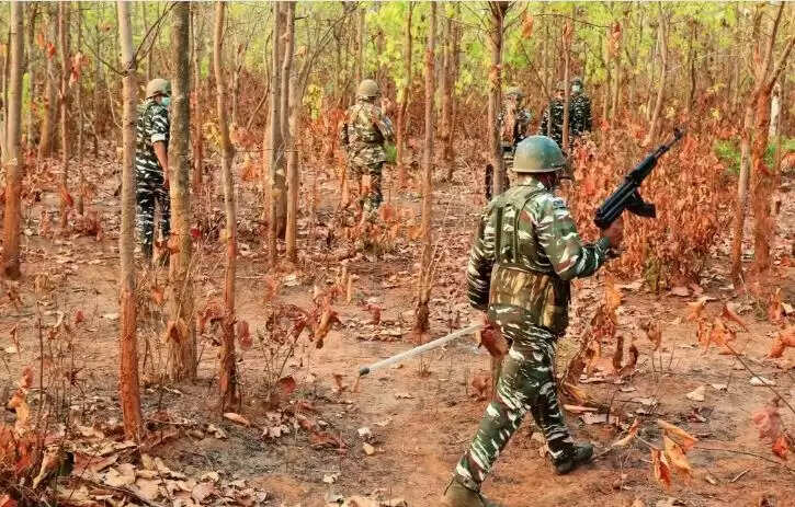 நக்சலைட்