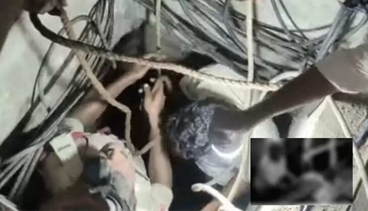 பெட்ரோல்