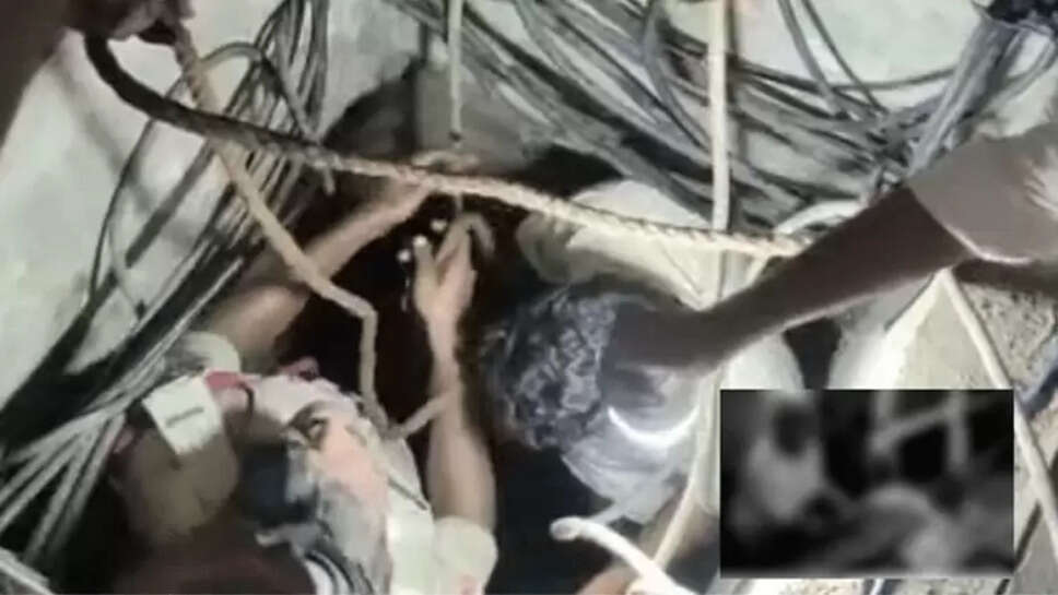 பெட்ரோல்