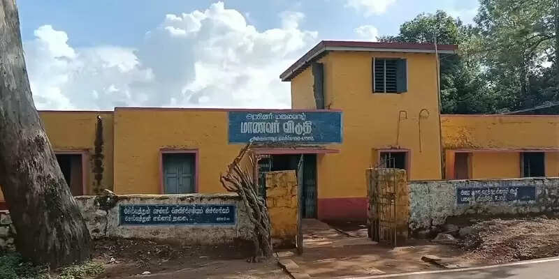 பாம்பு