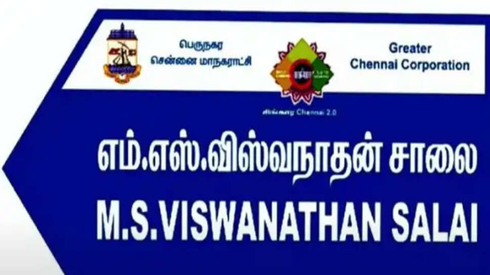 msv