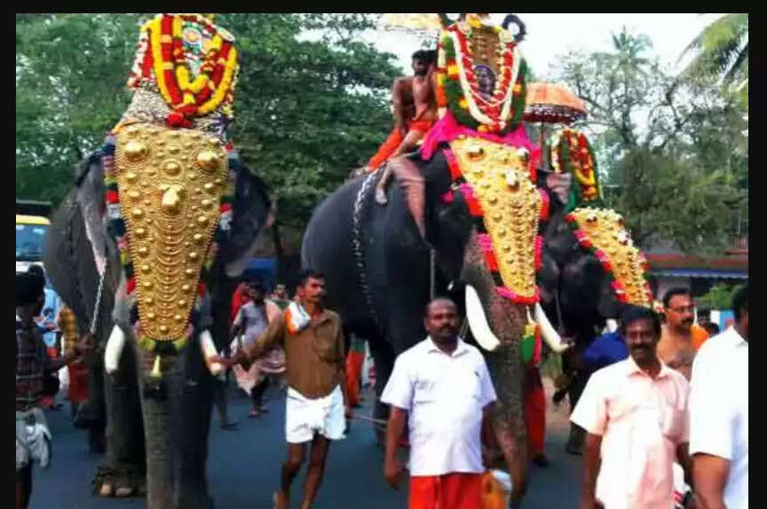 யானை