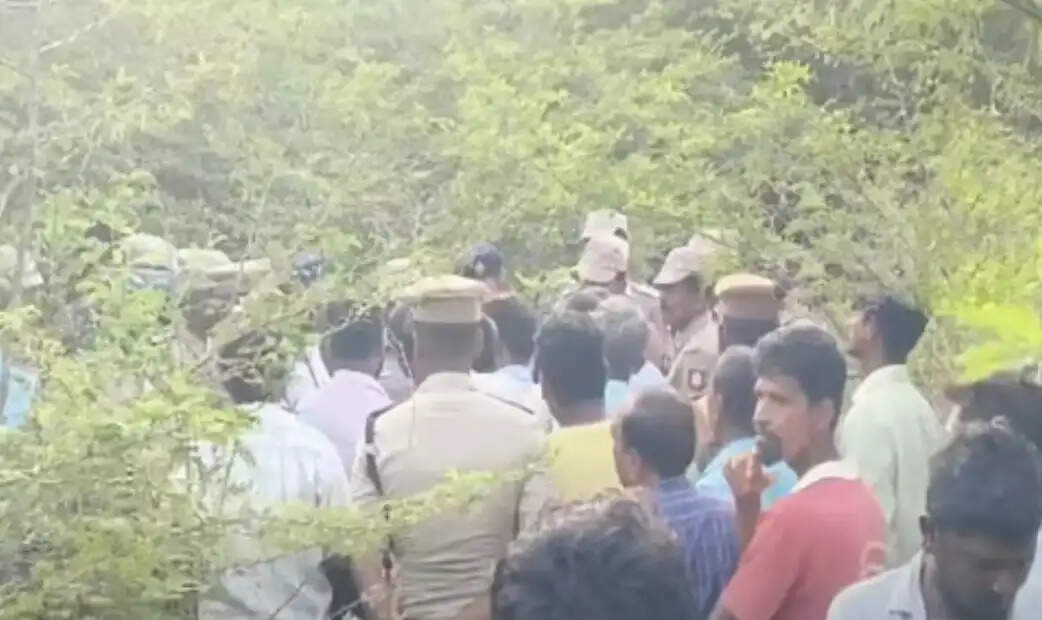 விளாத்திகுளம்