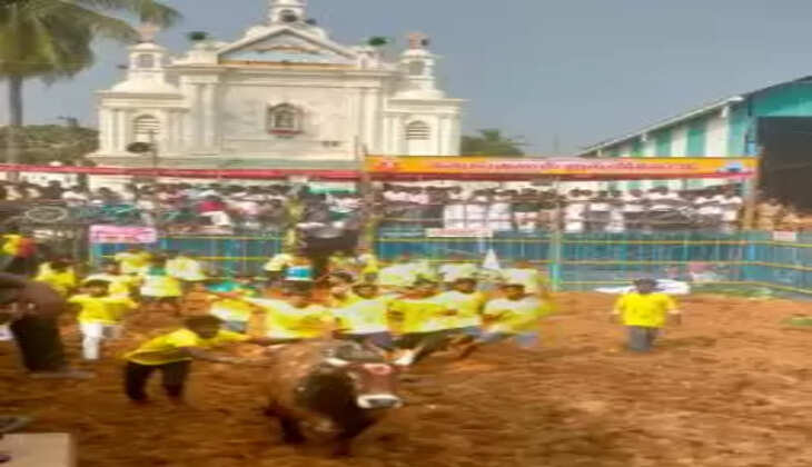 ஜல்லிக்கட்டு