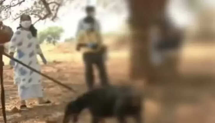  சரணப்பா சண்டிகவுடர்