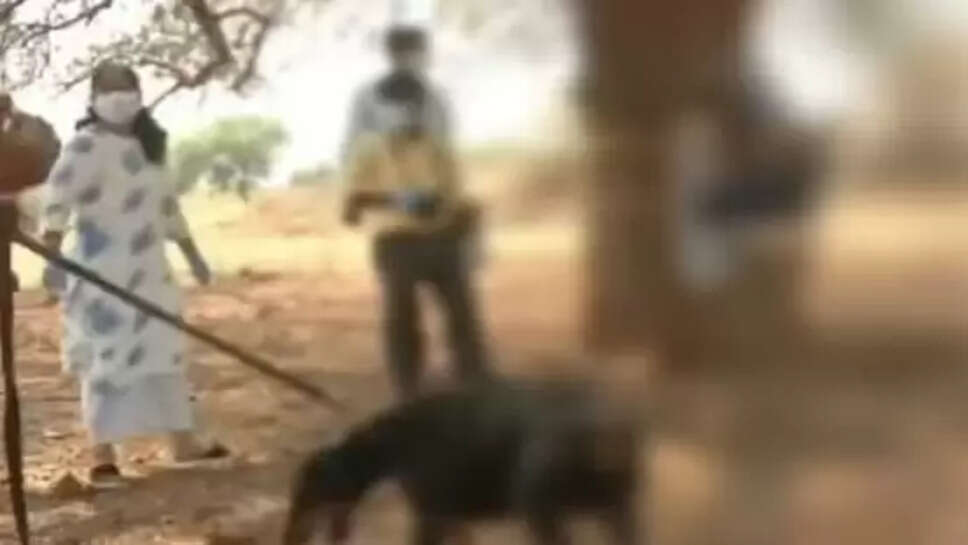  சரணப்பா சண்டிகவுடர்