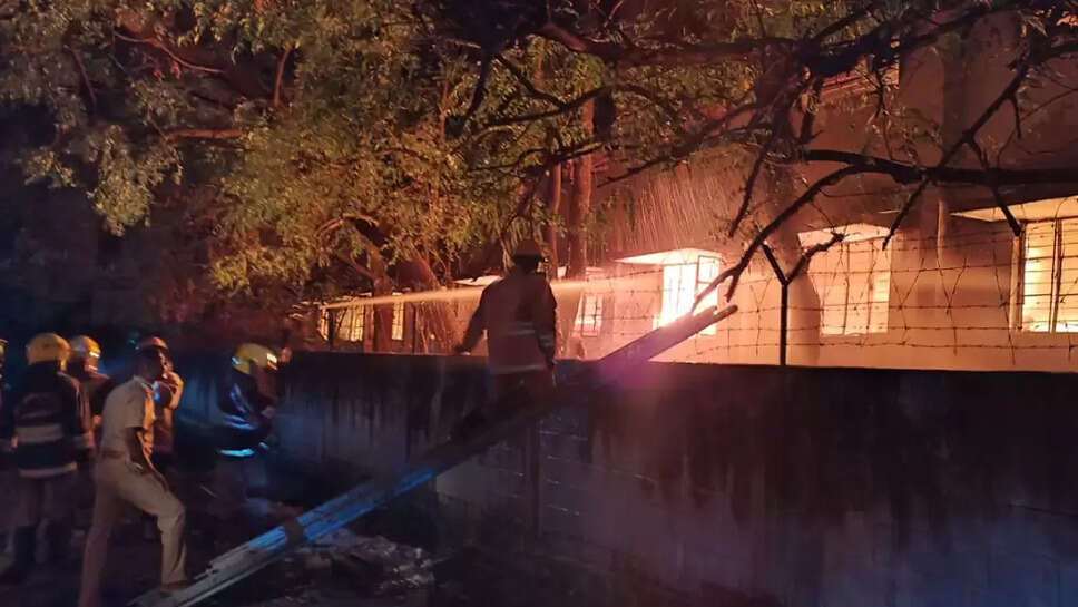 கொரியர் கம்பெனி