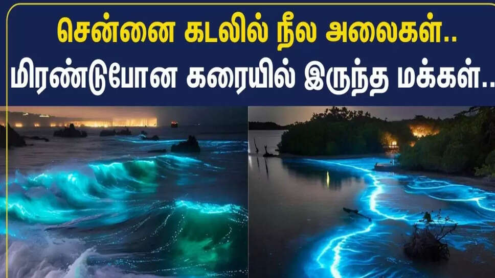 நீல அலைகள்