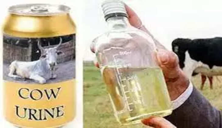 கோமியம்