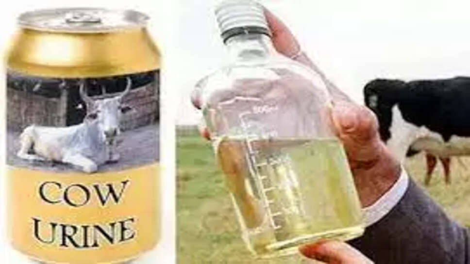 கோமியம்