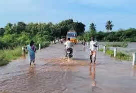 தரைப்பாலங்கள்