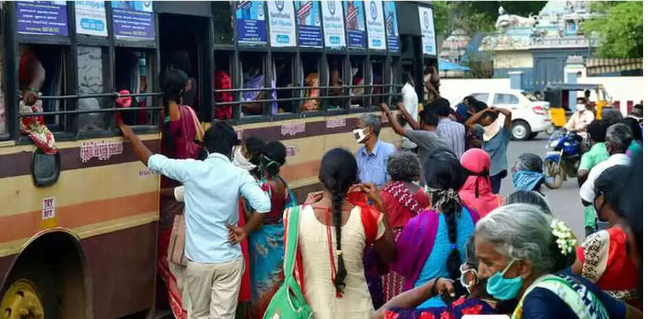 பேருந்து