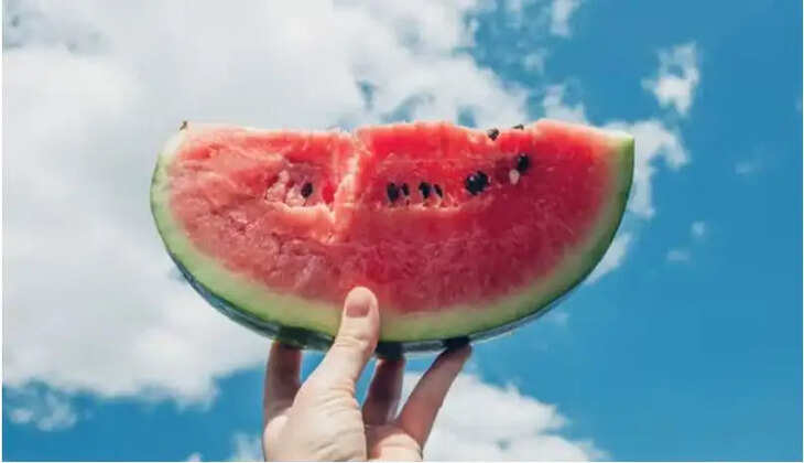 தர்பூசணி