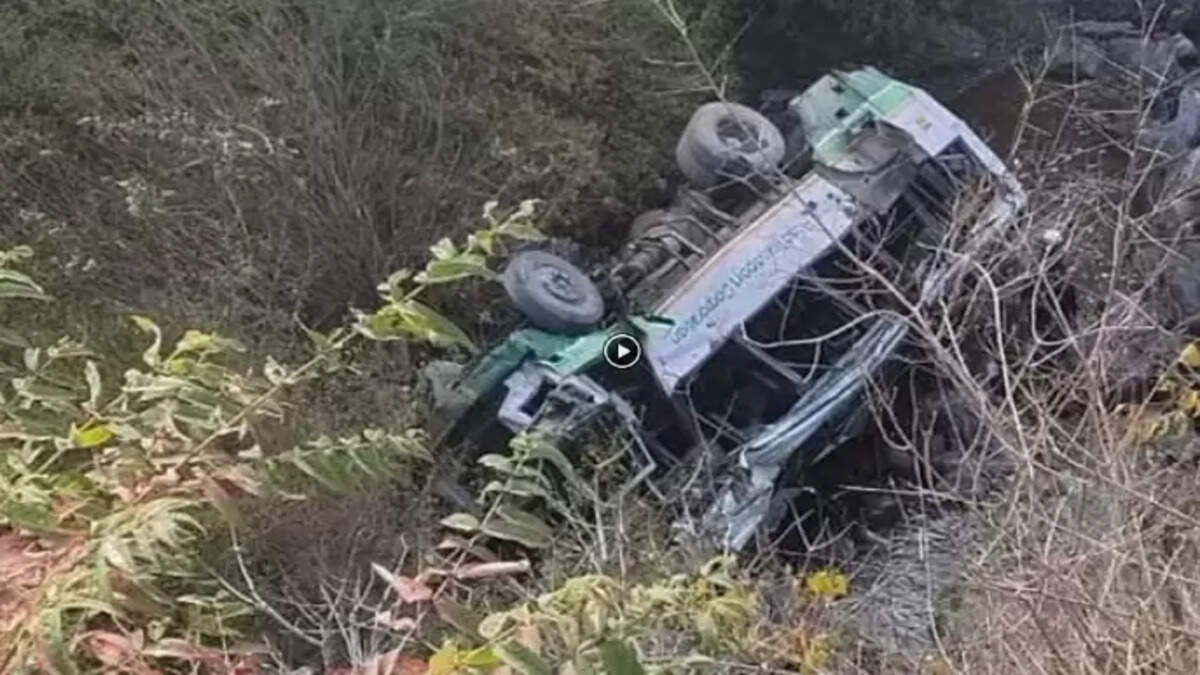 பேருந்து