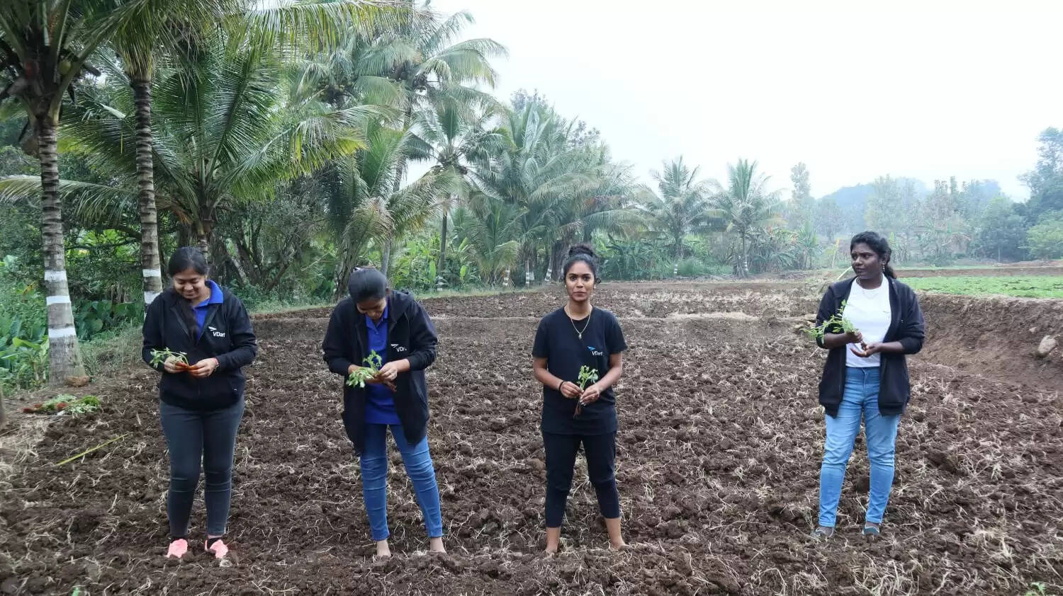 மலைவாழ் ஐடி நிறுவன பெண் ஊழியர்கள் vdart