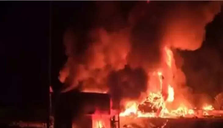 பேருந்து