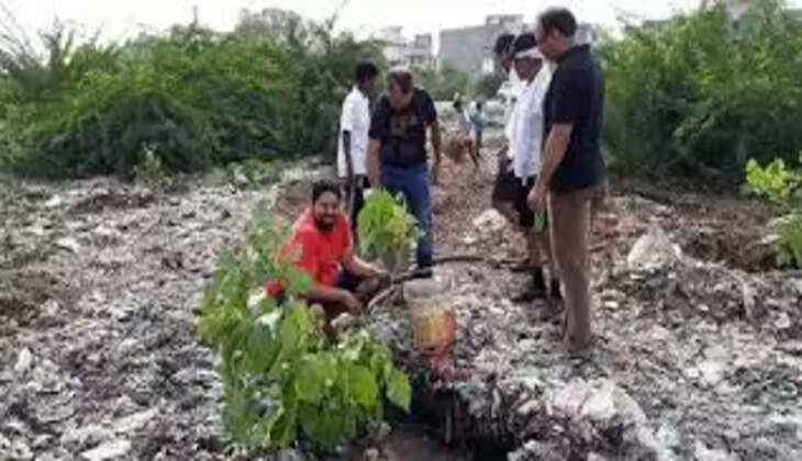 குப்பை கிடங்குகள்