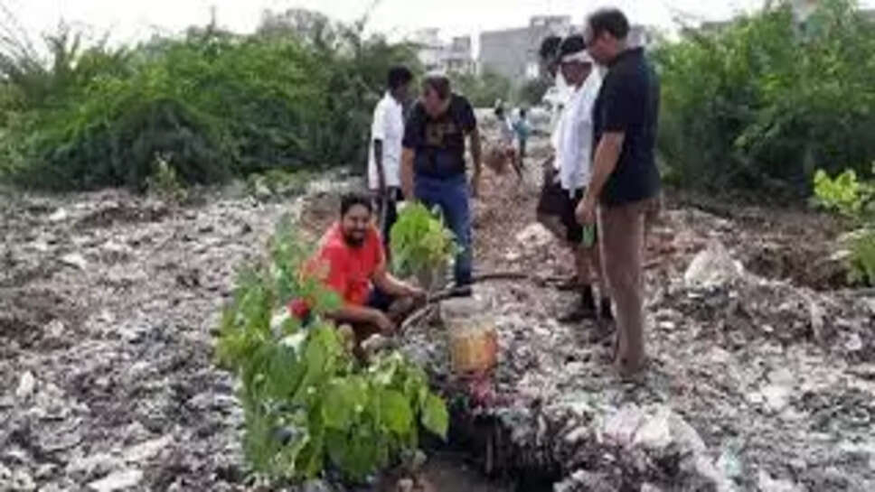 குப்பை கிடங்குகள்