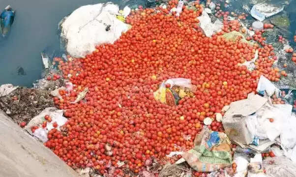 தக்காளி