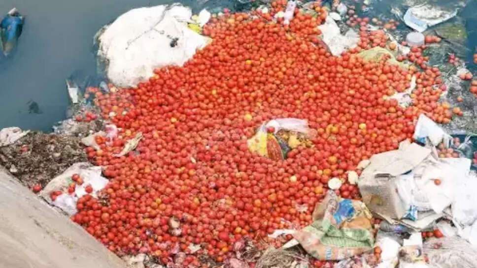 தக்காளி