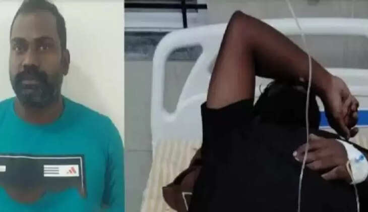 ஆல்வின் 