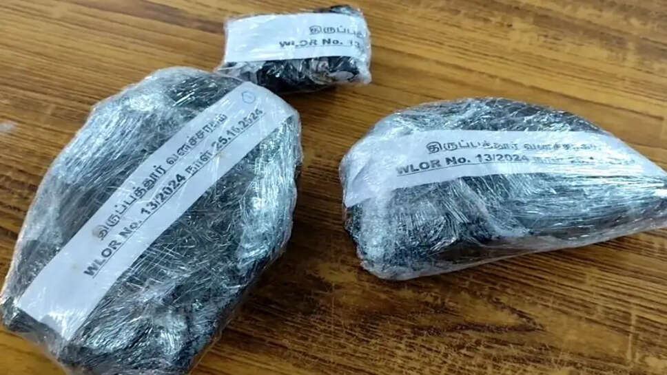 திமிங்கல எச்சம்