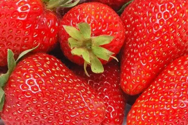 ஸ்ட்ராபெர்ரி