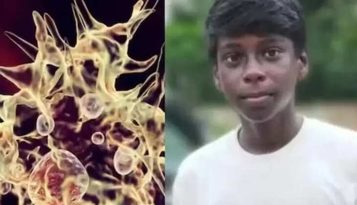 அமீபிக்