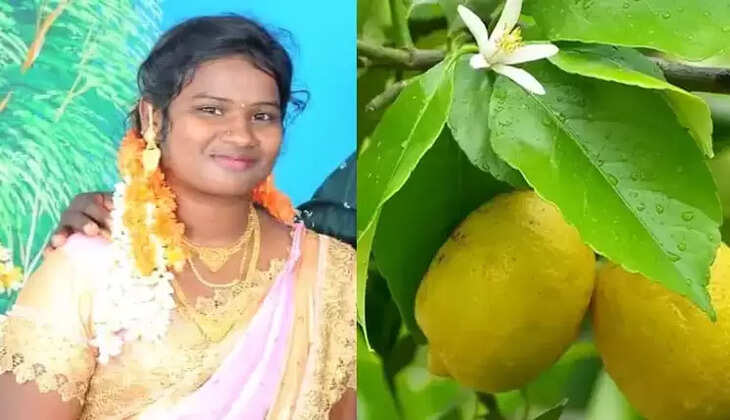 எலுமிச்சை