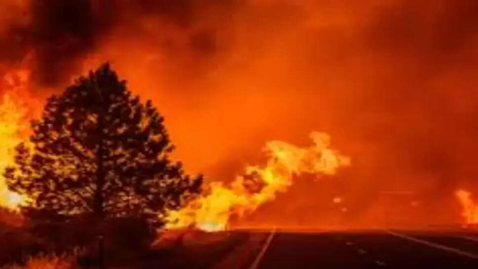 அமெரிக்கா காட்டுத்தீ