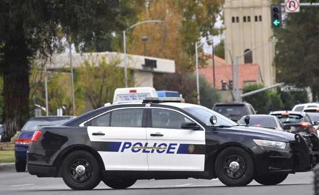 அமெரிக்கா போலீஸ்