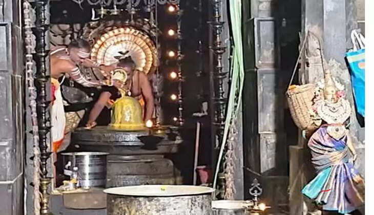 மயூரநாதர்