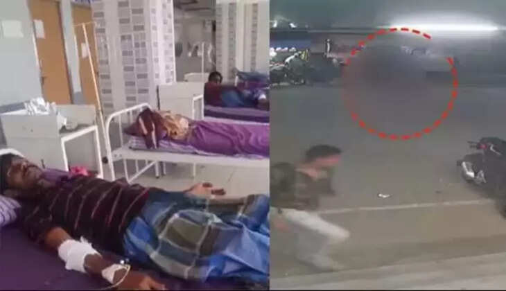 நாய்க்கடி மருத்துவமனை நாய்