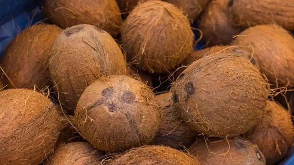 தேங்காய்