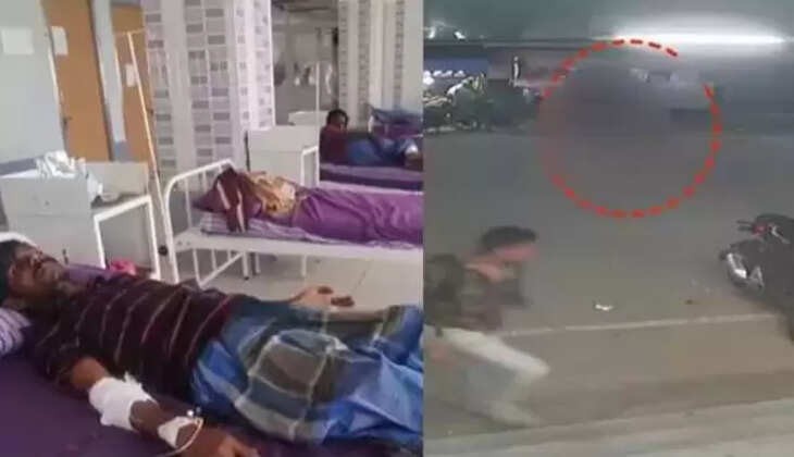 நாய்க்கடி  மருத்துவமனை