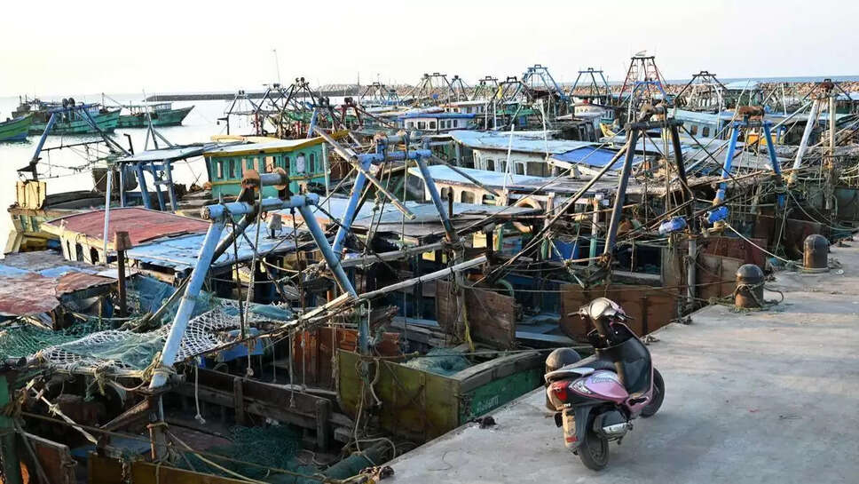 மீனவர்கள் வேலைநிறுத்தம் மீன் படகு